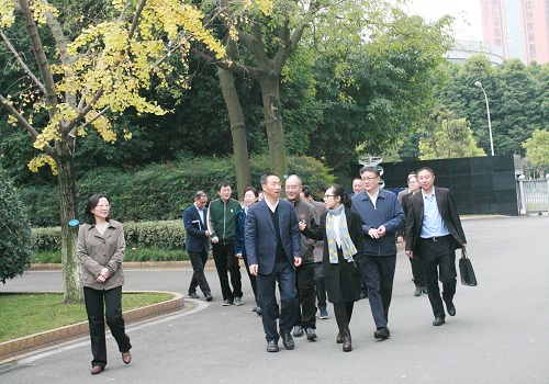 图片10